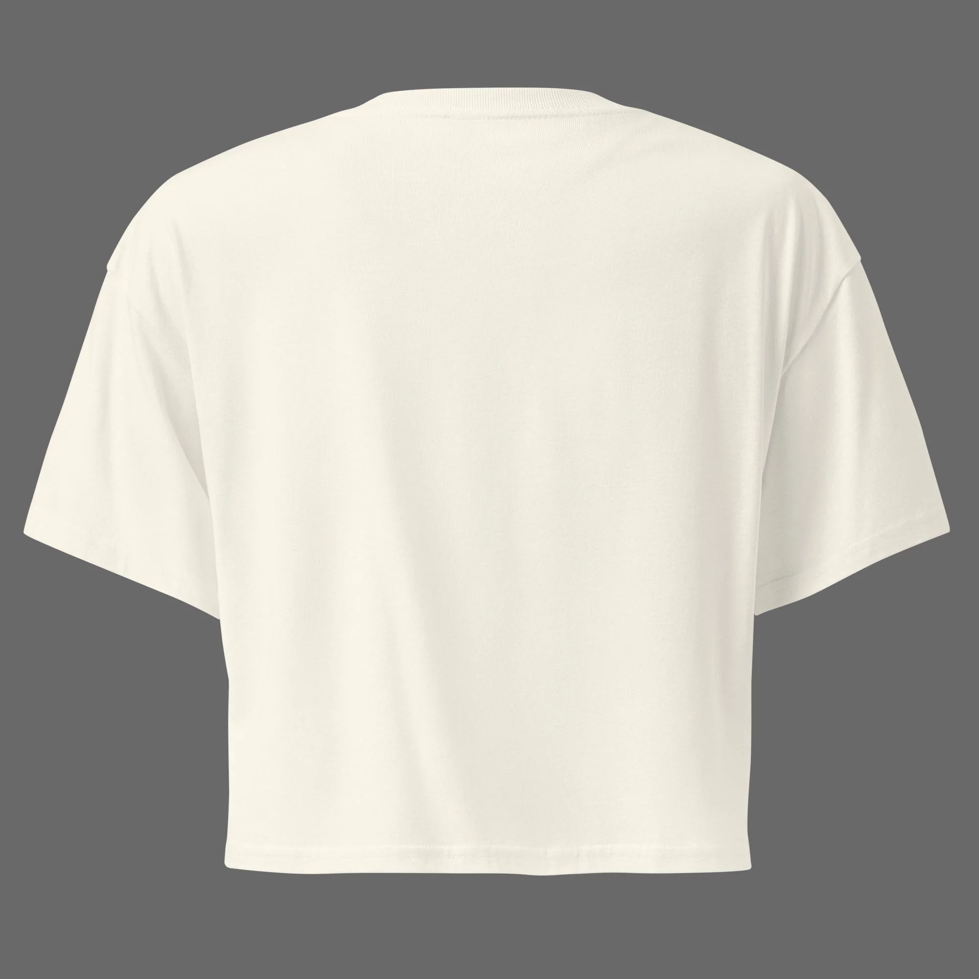 Band of Stripes Women’s crop top - Image 4